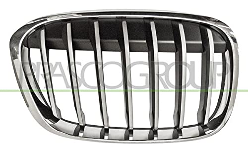 Kühlergitter Kühlergrill Silber Set u. Links/Rechts Kompatibel mit BMW X1 F48 2014-2019 von Autoteile Gocht von Autoteile Gocht