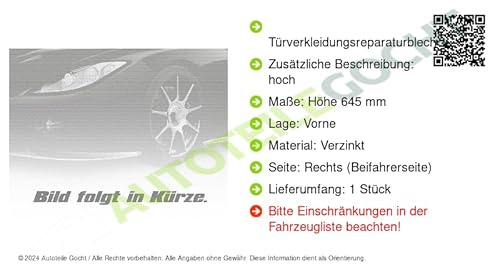 Reparaturblech für Tür Verzinkt Vorne Rechts Kompatibel mit Mercedes Sprinter 3-t B903 1995-06 von Autoteile Gocht von Autoteile Gocht