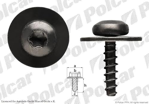 Schraube Kompatibel mit Ford C-Max II Van B-Max 1995-> von Autoteile Gocht von Autoteile Gocht