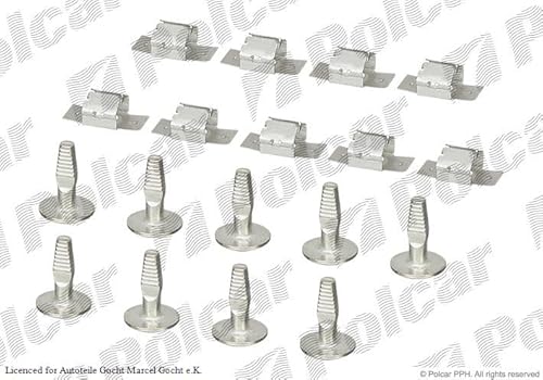 Unterfahrschutz Einbausatz Clip Clips Schrauben Set Kompatibel mit Peugeot 206+ 207 CC Cabrio Limo Kombi 307 Citroen C2 C3 1999-> von Autoteile Gocht von Autoteile Gocht