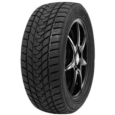 DELINTE WINTER WD1 205/55R16 91H BSW