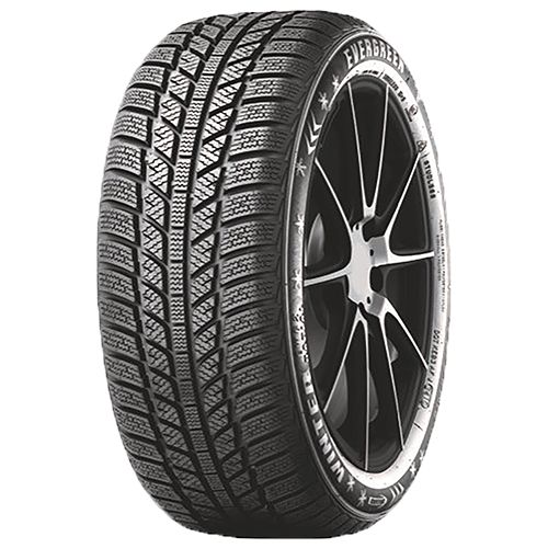 EVERGREEN EW62 205/50R16 87H BSW