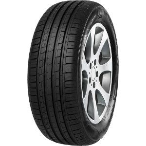 MINERVA F209 185/70R14 88T