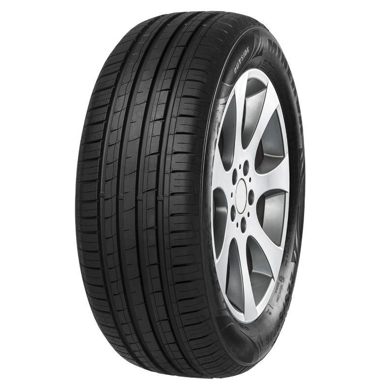 MINERVA F209 195/50R16 88V XL