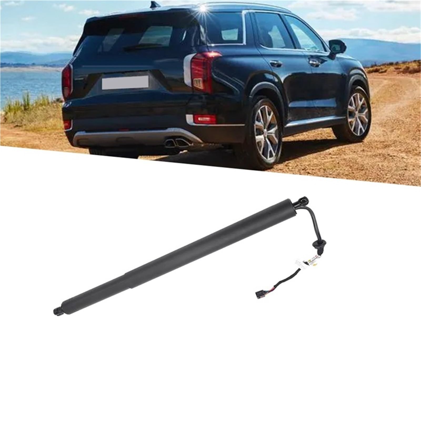 Heckklappendämpfer Für Hyundai Für Palisade 2020 2021 2022 Auto Hinten Tor Elektrische Power Heckklappe Aufzug Unterstützung Antrieb Kofferraum Gasfeder(Black Right) von Avfpra