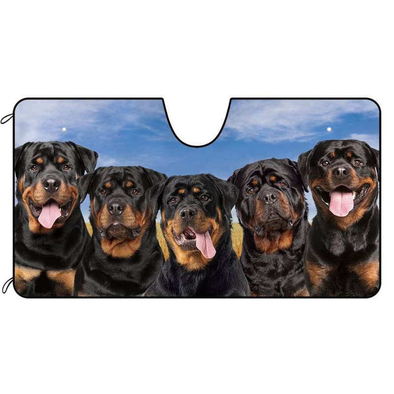 BAGEYOU Auto Front Windschutzscheibe Sonnenschutz Niedlich Rottweiler Hunde Dekor Fahrzeug Sonnenschutz Visier UV Strahlen Reflektor Sonnenschutz Halten Sie Fahrzeug kühl, 140 x 76 cm von BAGEYOU