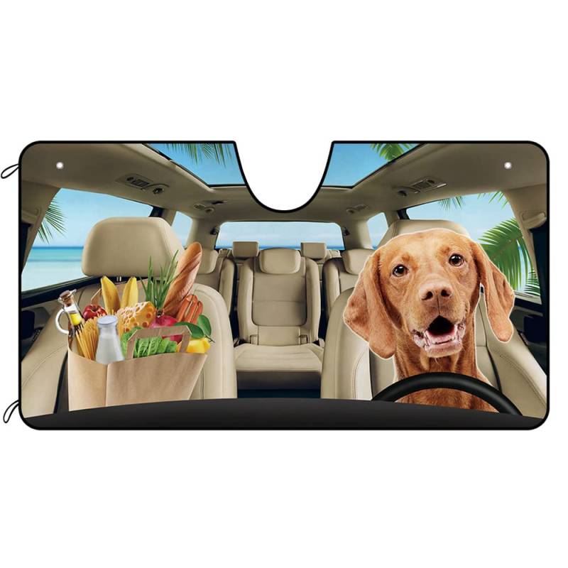 BAGEYOU Hunde Auto Front Windschutzscheibe Sonnenschutz Cool Vizsla im Strand Dekor Fahrzeug Sonnenschutz UV-Strahlen Reflektor Sonnenschutz Halten Sie Fahrzeug kühl, 140 x 76 cm, 4 Stile optional von BAGEYOU