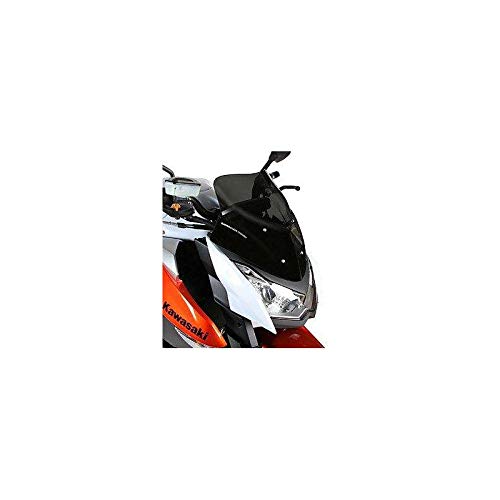 Barracuda Windschild Plexiglas Kawasaki Z1000 2010-2013 Z1000 ZRT00D von BARRACUDA