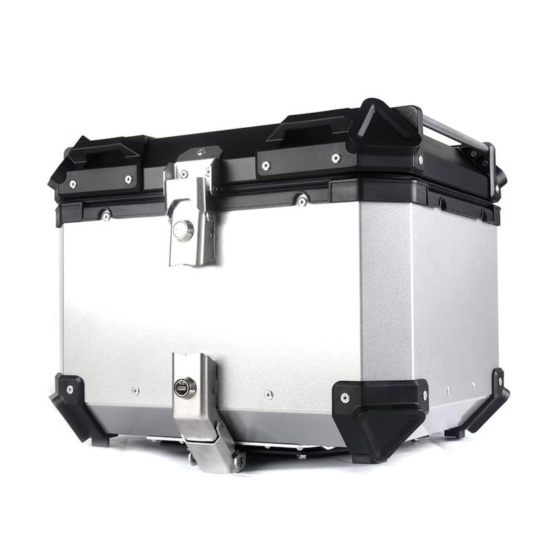 Anti-Kollisions- und Motorrad-Gepäckbox mit großem Fassungsvermögen und Sicherheitsschloss, 45/55/65/80/100 l(Silver,65L: L 56cm*W 40cm*H30cm) von BCJMKDX