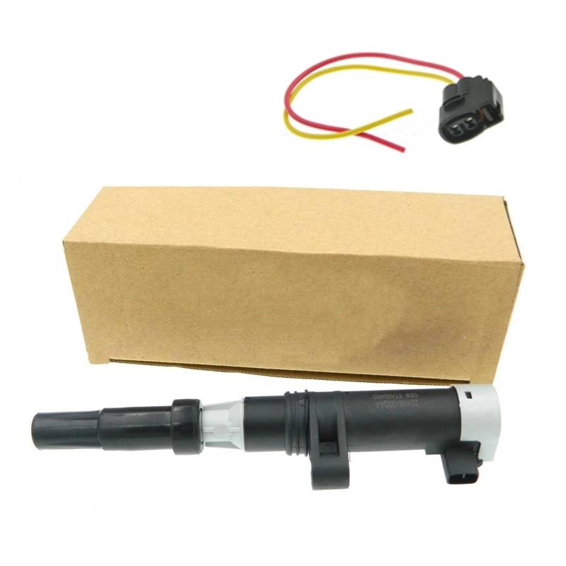 Zündspule Stecker 22448-00QAA Für Dacia Für Duster Für Logan Für Sandero 1,6 16V Zündeinheit Zündspule Zündungen(X1 Coil and Plug) von BEEBY