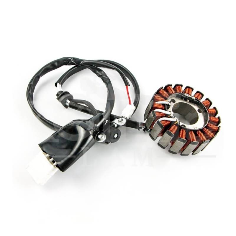 Magneto Statorspule Für Fit Magneto Generator Stator Spule Für Motorrad Für Yam&aha Majesty 400 Majesty 400 YP4 2004 2005 2006 2007 2008 von BGDCVS