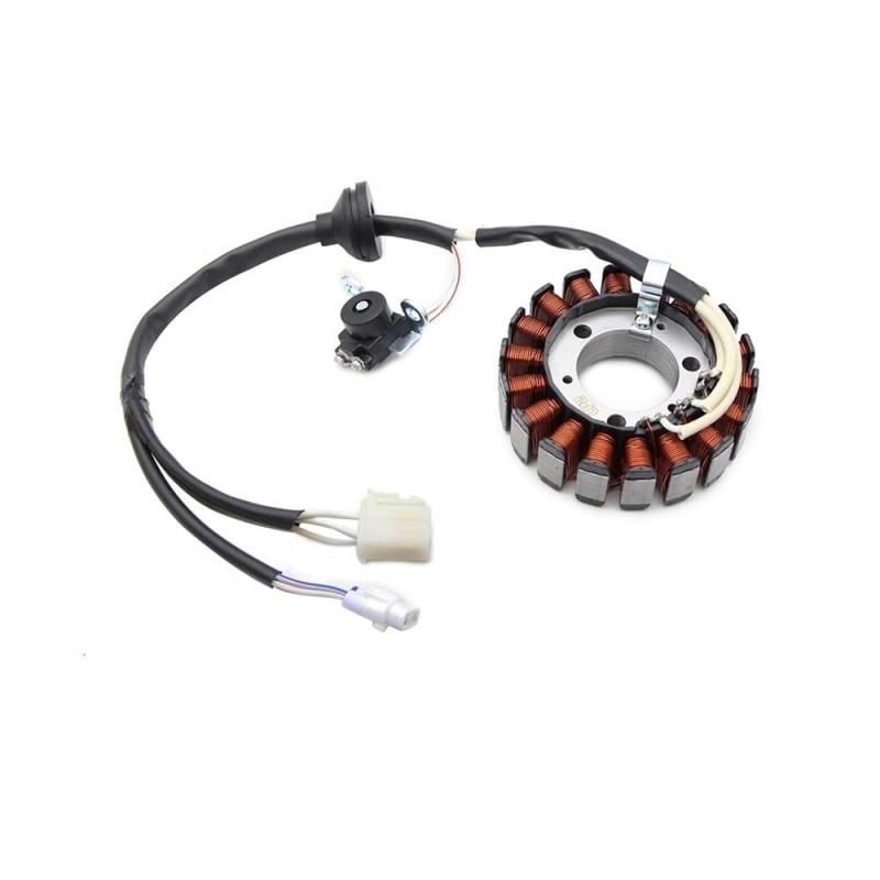 Magneto Statorspule Motorrad Generator Magneto Stator Spule Für Yam&aha 2JS-H1410-10 2JS-H1410-30 XC125SR Cygnus X 125 ZUMA 125 YW125GL YW125GW von BGDCVS