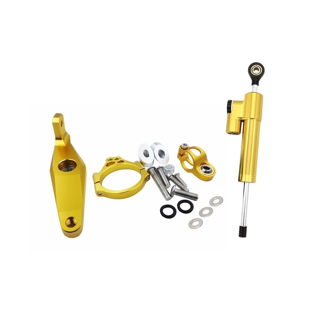 Motorrad Arbeitsleuchten Halterung FÜR MT-09 MT 09 Mt09 2021 2022 Einstellbare Motorräder Zubehör Hilfs Halterung Lenkung Stabilisieren Dämpfer Halterung Montage Kit von BGDCVS