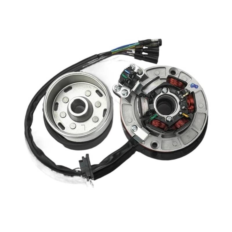 Magneto Stator 12V AC Zündung Magneto Stator Schwungrad Kit Mit Licht Für YINXIANG YX 140cc 150cc 160cc KAYO BSE Für SDG SSR Pitsterpro Dirt Bike von BHOUTY