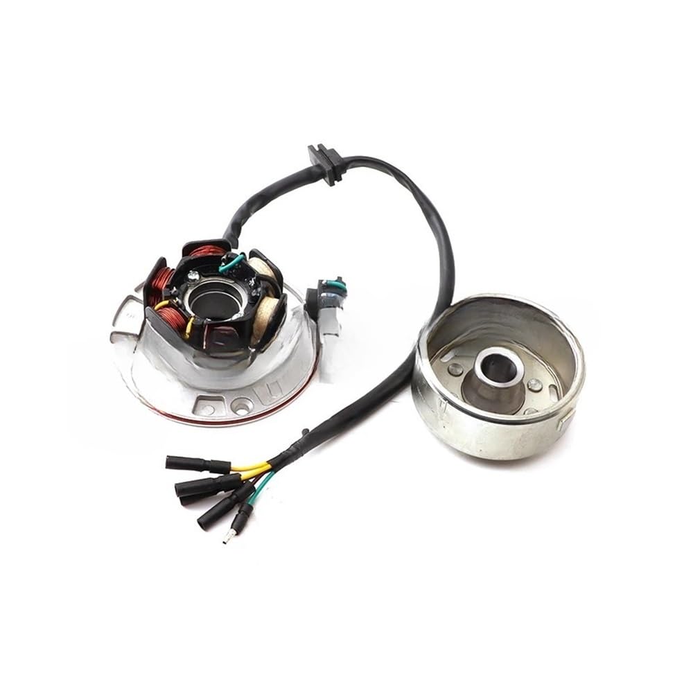 Magneto Stator 12V AC Zündung Magneto Stator Schwungrad Kit Mit Licht Für YINXIANG YX 140cc 150cc 160cc KAYO BSE Für SDG SSR Pitsterpro Dirt Bike von BHOUTY