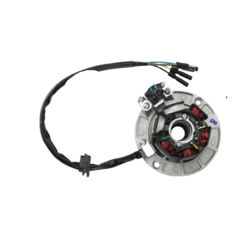 Magneto Stator 12V AC Zündung Magneto Stator Schwungrad Kit Mit Licht Für YINXIANG YX 140cc 150cc 160cc KAYO BSE Für SDG SSR Pitsterpro Dirt Bike von BHOUTY