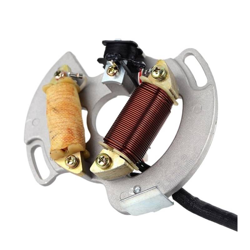 Magneto Stator Motorrad Magneto Stator Spule Für Yam&aha YFS200 1988-2002 3JM-85560-00 2XJ-85560-M0 Motorrad Stator Spule Zündung von BHOUTY