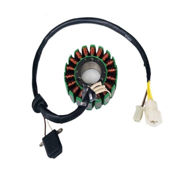 Magneto Stator Motorrad Roller Innenrotor Kit Zündstator Magnetspule Für SU&ZUKI AN125 125cc AN 125 AN150 HJ125T-7 Teile In 18 Pol von BHOUTY