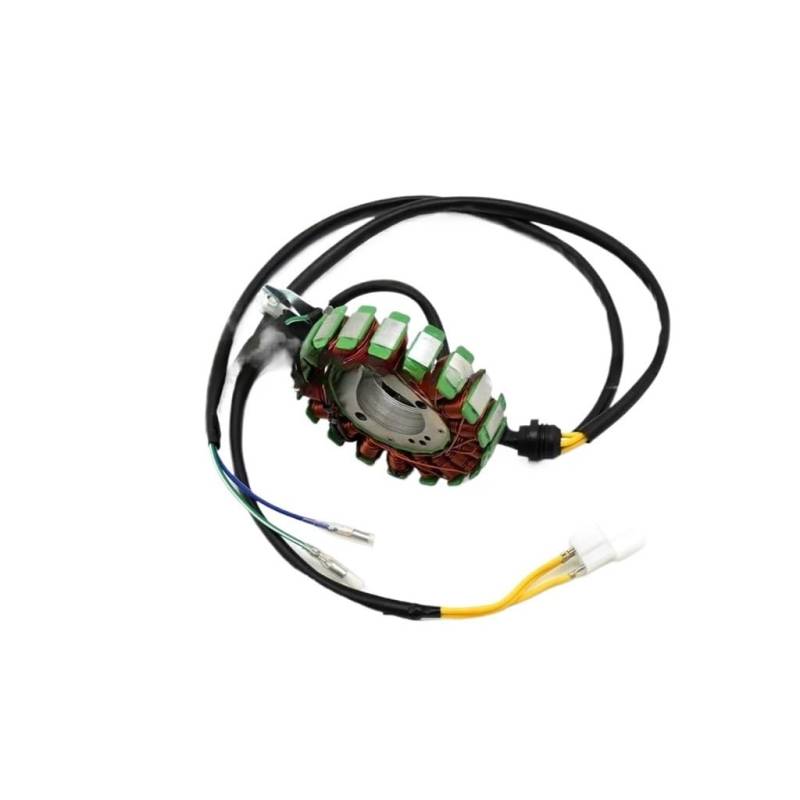 Magneto Stator Pole 18 Coil Stator Magneto 200W Motor Für Li&Fan Zo&ngshen CG250 Motor 250cc 200CC ATV Quad Bu&ggy Motorrad von BHOUTY