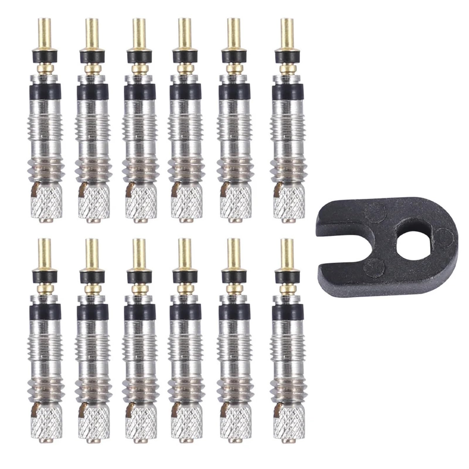 2 stücke Fahrrad Ventil Kern Reparatur Kit Mountainbike Reifen Ventil Kern Reparatur Kit mit Werkzeug Fahrrad Zubehör(12PCS Valve core) von BHVHRHOM