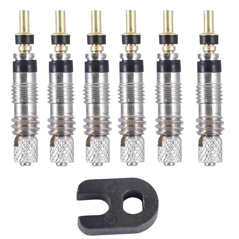 2 stücke Fahrrad Ventil Kern Reparatur Kit Mountainbike Reifen Ventil Kern Reparatur Kit mit Werkzeug Fahrrad Zubehör(6PCS Valve core) von BHVHRHOM