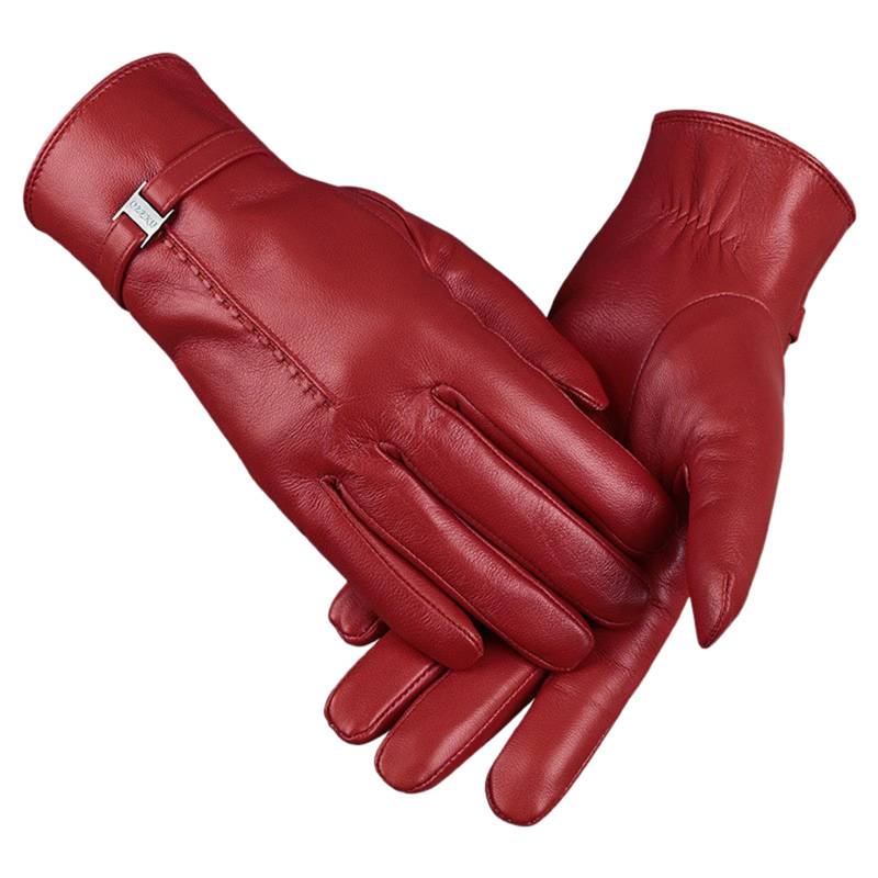 BIBOKAOKE Lederhandschuhe Damen Winter Touchscreen Handschuhe Leder Warmfutter Elegant Winterhandschuhe Casual Winddicht Outdoor Sports Gloves Pailletten Muster Handschuhe Seidenhandschuhe für Frauen von BIBOKAOKE