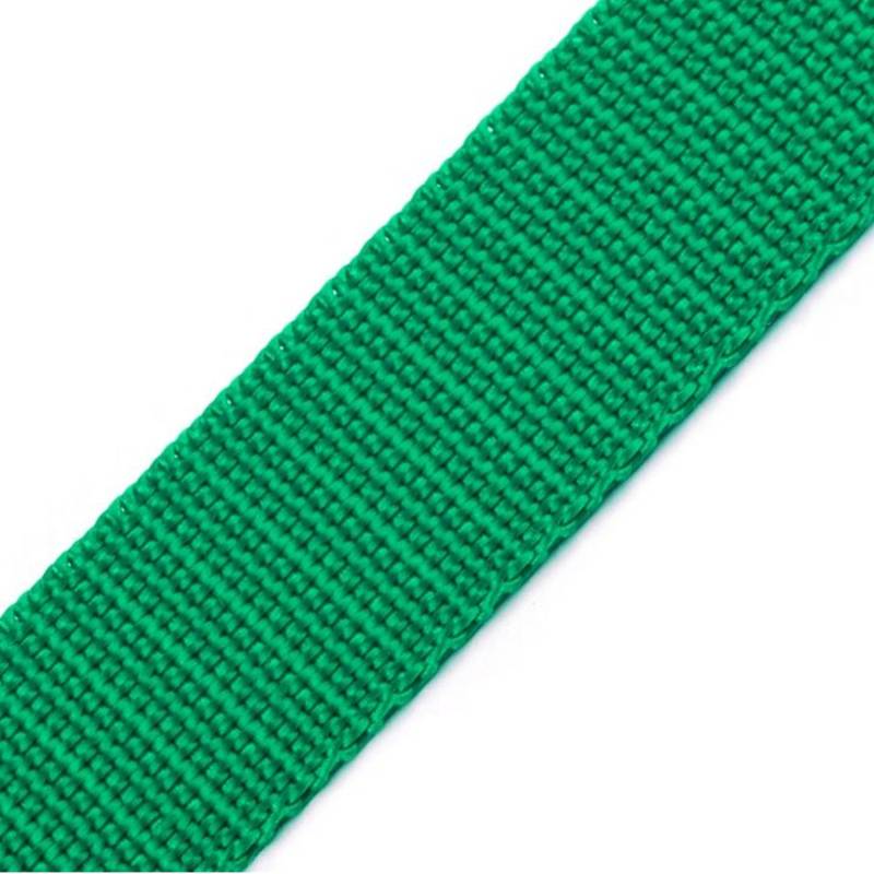 BIG-SAM - 10571-20mm Gurtband - Polypropylen - 1, 5 oder 10 Meter Angebote (1 Meter, Pastellgrün (60)) von BIG-SAM