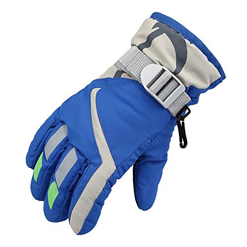 BIISDOST Snow Winter Skisport Handschuhe Outdoor- Winddichte Handschuhe Handschuhe Skifahren Armstulpen Damen (Blue, One Size) von BIISDOST