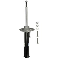 Stoßdämpfer BILSTEIN 22-049698 von Bilstein