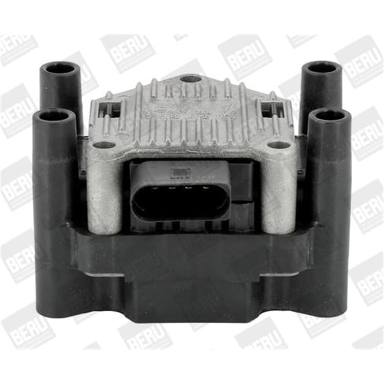 Beru Z?ndspule Audi A1 A3 A4 Seat Toledo Skoda Fabia VW Golf Bora von BORGWARNER (BERU)