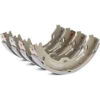 BREMBO Handbremsbeläge ESSENTIAL LINE S 50 519 Handbremsbacken,Bremsbackensatz, Feststellbremse MERCEDES-BENZ,MAYBACH,E-Klasse Limousine (W211) von BREMBO