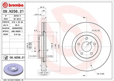 Brembo 1x Bremsscheibe [Hersteller-Nr. 09.N256.21] für Ford von BREMBO