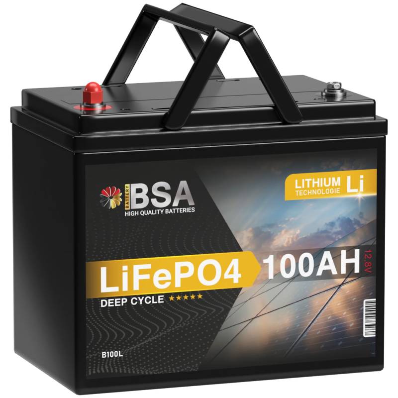 BSA LiFePO4 100Ah 12V Mini Lithium Batterie Wohnmobil Akku mit BMS Solarbatterie Solar Boot von BSA BATTERY HIGH QUALITY BATTERIES