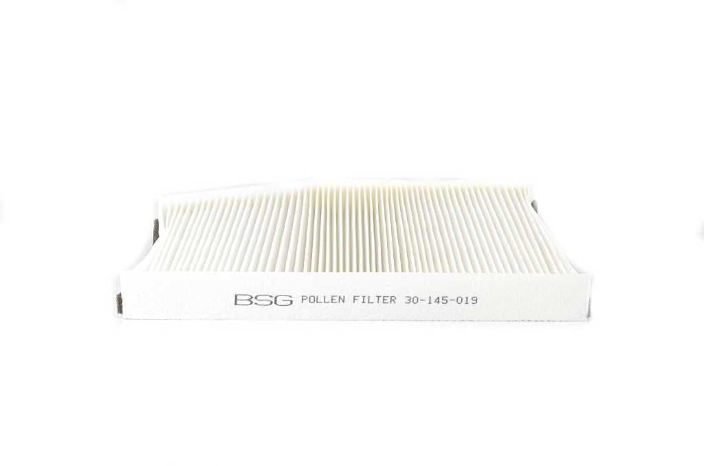 BSG 30-145-019, FILTER, INNENRAUMLUFT Kompatibel Mit (TRANSİT V-362/V-363 BM 12-, BK2118D543AA, @1812679) von BSG