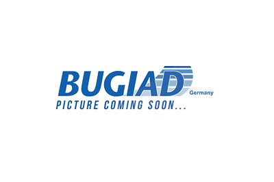 Bugiad Gasfeder, Koffer-/Laderaum [Hersteller-Nr. BRD50747] für Hyundai von BUGIAD