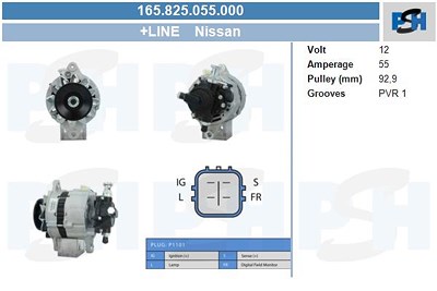 Bv Psh Generator [Hersteller-Nr. 165.825.055.000] für Nissan von BV PSH