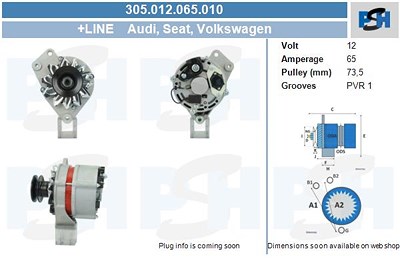 Bv Psh Lichtmaschine 65A [Hersteller-Nr. 305.012.065.010] für Audi, VW von BV PSH