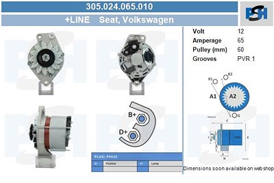 Bv Psh Generator [Hersteller-Nr. 305.024.065.010] für Audi, VW von BV PSH