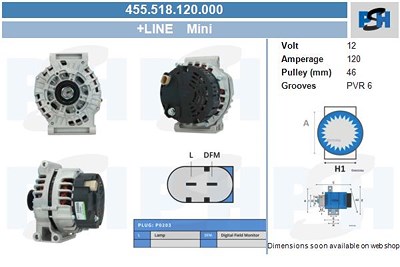 Bv Psh Generator [Hersteller-Nr. 455.518.120.000] für Mini von BV PSH