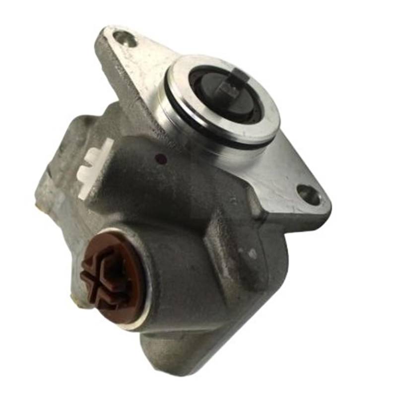 Servolenkungspumpe for Autozubehörsystem 7685955246 7685955139 A0024605480, Kompatibel mit Fiat Ducato 2.5D / 2.5TDI / 2.8D / 2.8TDI / 2.8 HDi 1994-2006 von BVAMIA