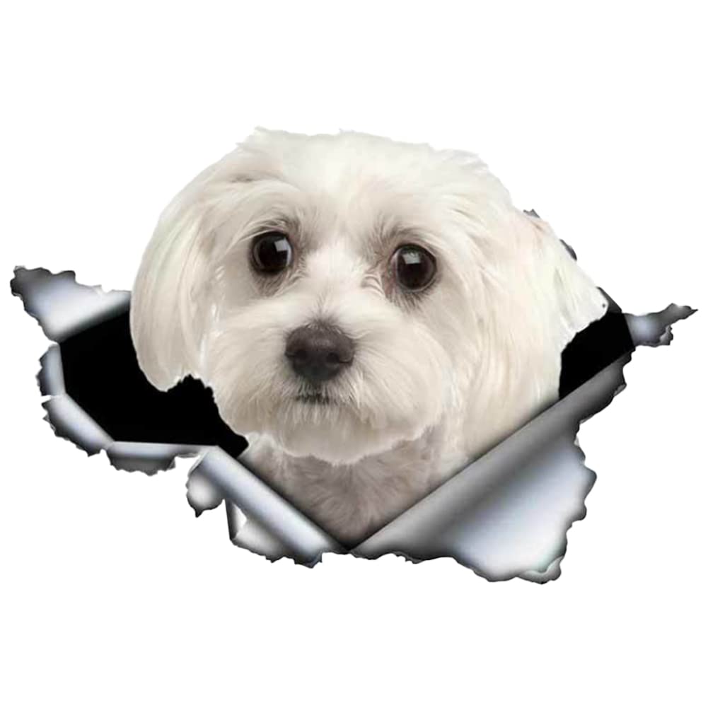 BYNYXI 3D Hunde Aufkleber, 2 Stück Hunde Aufkleber PVC Auto Körper Kratzer Aufkleber Wasserdichter Aufkleber für Auto Laptop Wand Fenster Dog Stickers Autoaufkleber von BYNYXI