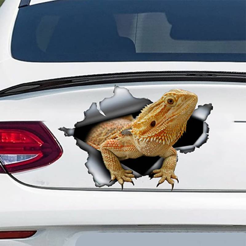 BYNYXI 2 Stück Gecko Aufkleber Auto, 3D Reflektierende Sticker Salamander Aufkleber Gecko Eidechse Sticker Reptilien Heckscheibe Gecko Auto Salamander Aufkleber PVC Wasserdichter Aufkleber-12cmx7.9cm von BYNYXI