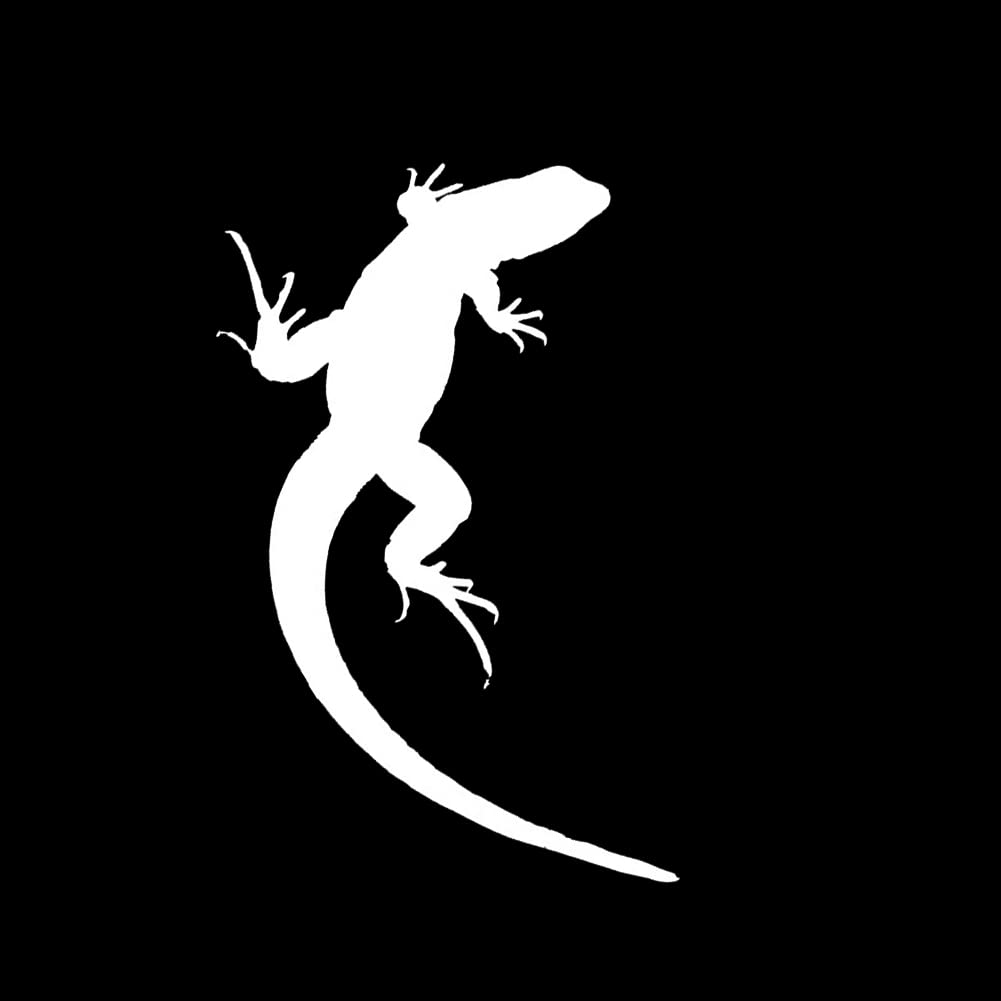 BYNYXI 2 Stück Gecko Aufkleber Auto, 3D Reflektierende Sticker Salamander Aufkleber Gecko Eidechse Sticker Reptilien Heckscheibe Gecko Auto Salamander Aufkleber PVC Wasserdichter Aufkleber-12cmx7.9cm von BYNYXI