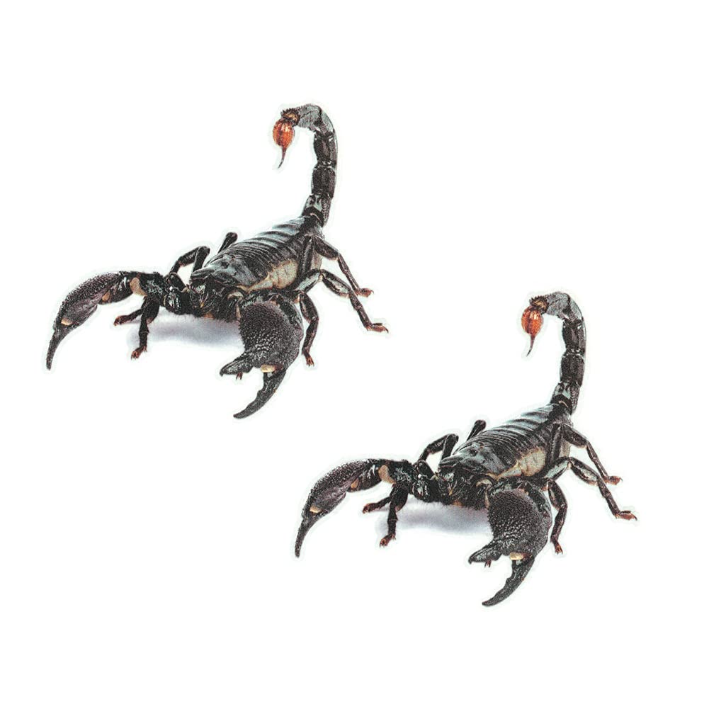 BYNYXI 2 Stück Skorpion Autoaufkleber, 3D Skorpion Spinne Tier Aufkleber Personalisierte Aufkleber Scary Skorpion Aufkleber PVC Klebstoff Emblem Aufkleber Wasserdicht Auto Aufkleber Trim Dekoration von BYNYXI