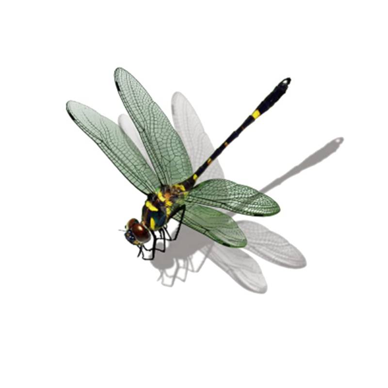 BYNYXI 3D Insekten Aufkleber, Realistische Libelle Heuschrecke Wespe Tankdeckel Aufkleber Auto Fenster Aufkleber Selbstklebende Wasserdicht Sticker für Laptop Camper Kühler Wand LKW-11cmx14cm von BYNYXI