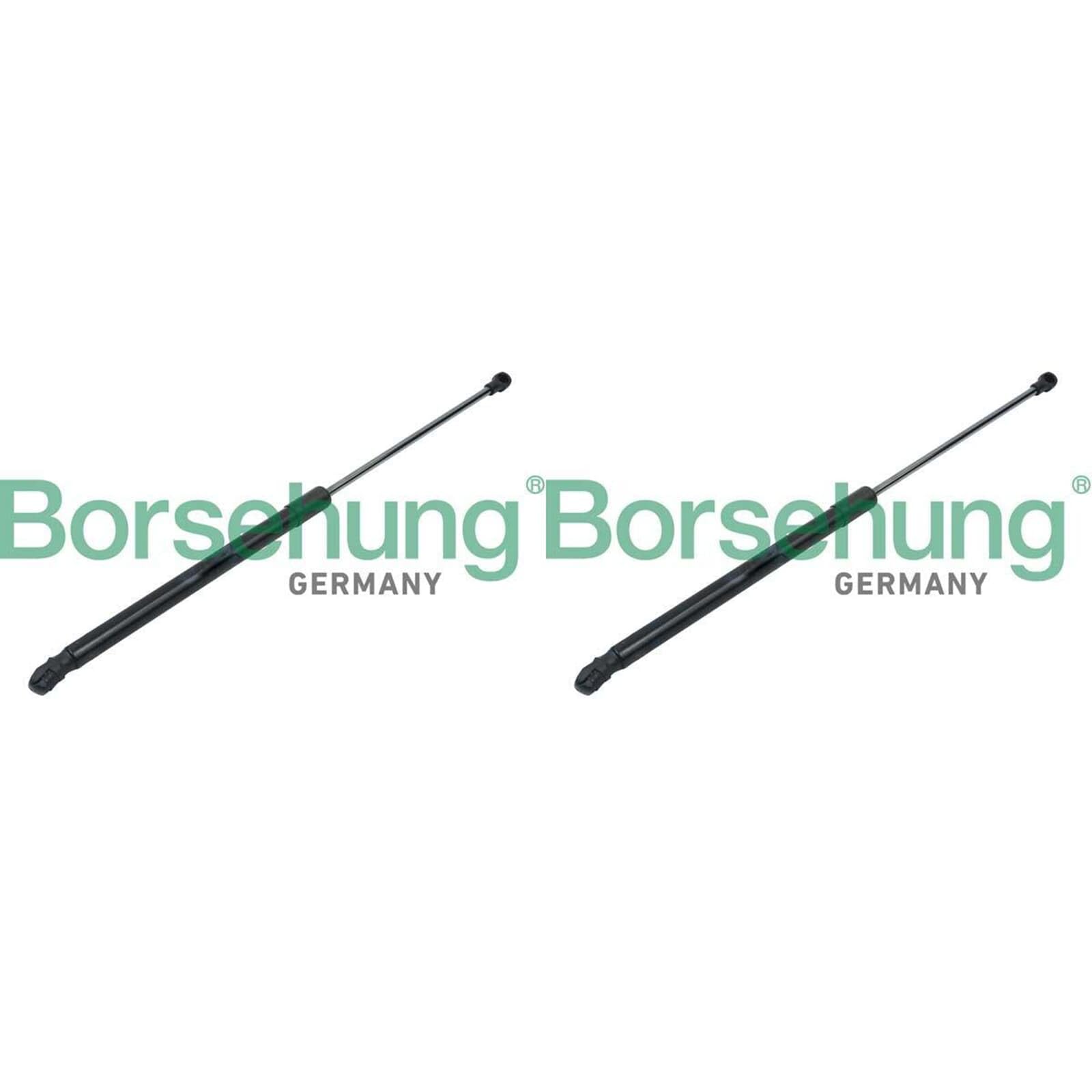 2x BORSEHUNG Gasfedern Heckklappendämpfer passend für Passat | B14191 von BandelOne