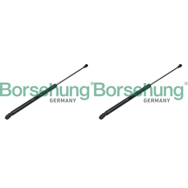 2x BORSEHUNG Gasfedern Heckklappendämpfer passend für Passat | B14191 von BandelOne