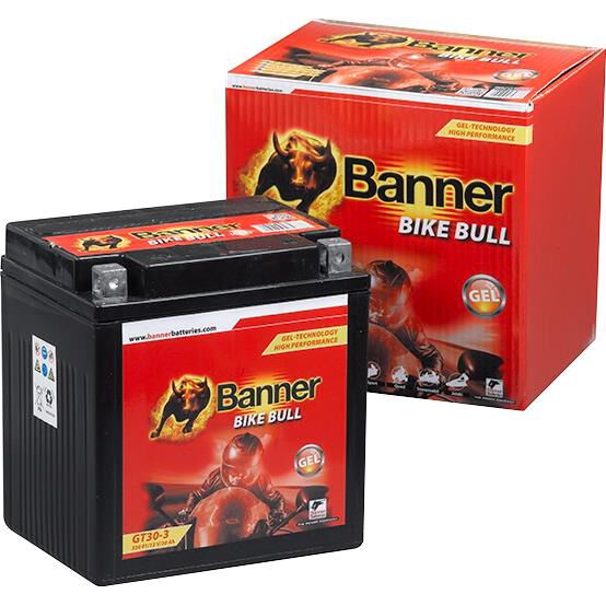 Banner Batterie Bike Bull GEL 53001, 12V, 30Ah (GT30-3) von Banner