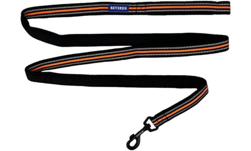 Battersea Reflektierende Hundeleine orange 200 cm von Battersea