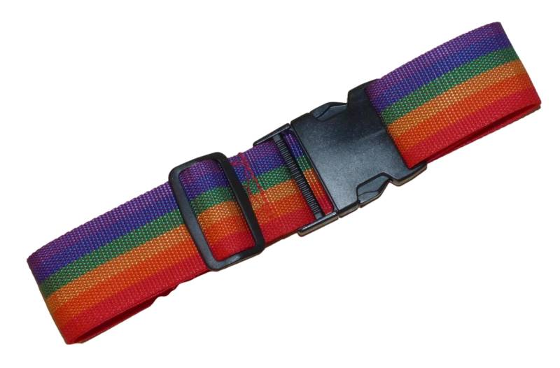 Benristraps 25 mm Gurt mit Schnellverschluss-Schnalle und Längenversteller (Regenbogen, 2 m) von Benristraps